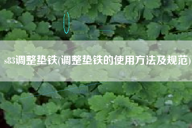 s83<a href='http://m.gyuer.cn/jichuangdiantiexilie/' target='_blank' title='調(diào)整墊鐵' ><strong>調(diào)整墊鐵</strong></a>(調(diào)整墊鐵的使用方法及規(guī)范)